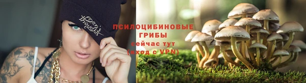 наркотики Покровск