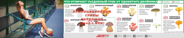 метадон Покачи