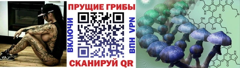 как найти закладки  kraken ССЫЛКА  Псилоцибиновые грибы Psilocybe  это Telegram  Отрадный 