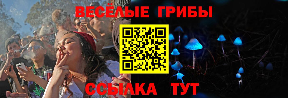 Псилоцибиновые грибы GOLDEN TEACHER  Вход с VPN  Псилоцибиновые грибы прущие грибы  Отрадный 